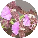 Mette Madsen profile picture